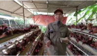 Foto Kusnan bin Kundori, Pemilik Peternakan Ayam Layer Quanta Farm