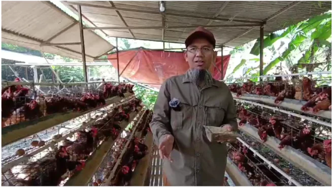 Foto Kusnan bin Kundori, Pemilik Peternakan Ayam Layer Quanta Farm
